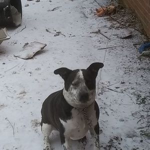 Meet your Posher, Serena